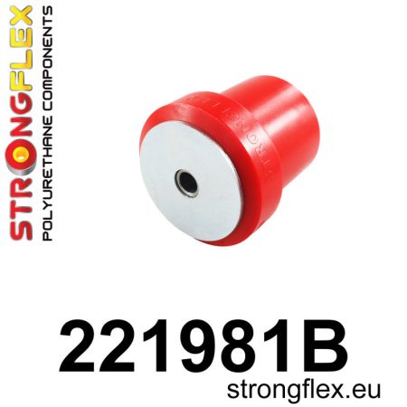 Hátsó híd szilent